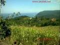 AYANCIK RESİMLERLE TANITIM VİDEOSU