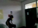 Icats Jackass(DMR 2008)