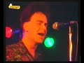 Golpes bajos - colecciono moscas