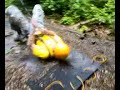 döne im chlätterpark döne im chlätterpark