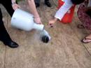 Liquid Nitrogen Bomb 2 Liquid Nitrogen Bomb 2