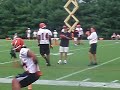 T.J. Houshmandzadeh recieving drills