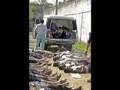 videos de Creativo777: mareros chamelecon