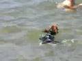 Bluto fa il bagno