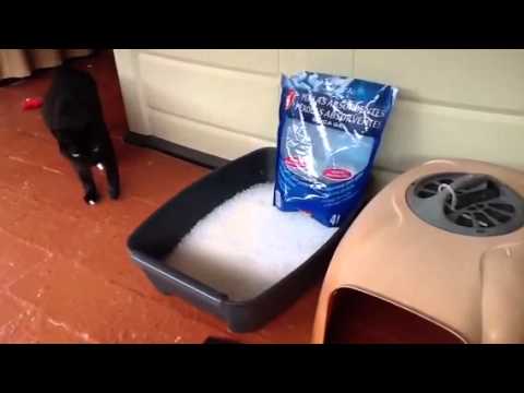 Crystal Cat Litter