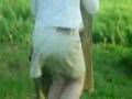 clip paillard
