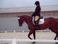Trista Dressage Test 08/24/08 Roxy