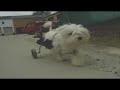 [Video]