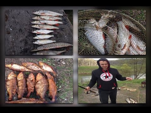 ловить рыбу на реке осетр ловить рыбу на реке осетр