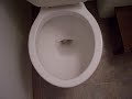 American toilet flush... American toilet flush...