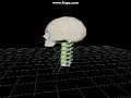 Particle Spring Head and Neck : David Kelly