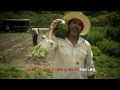 2Fresh Entertainment Presents: Watermelon By D.Willz