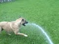 Mar 21 2008 - VID00007