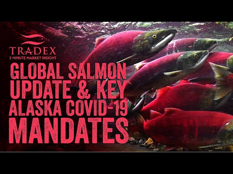 3MMI - Global Pacific Salmon Update, Key COVID-19 Alaska Mandates, Salmon Purchasing Advice Over Next 2 Months