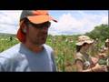 Madri rumbo al sur 2008 trabajo agricola Tv 05