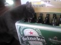 Heineken-probably-th