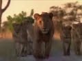 RE: Geert Wilders - Fitna the movie (Official English)