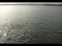 Improving Your Topwater Fishing