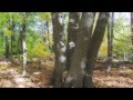 YouTube - Far Out DEWD...