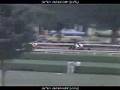Runaway Groom - 1982 Travers Stakes