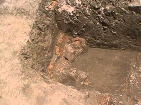 guarda il video