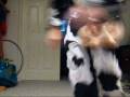 videos de milkshake