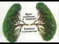 aquecimento global