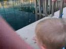 Water is so funny