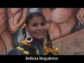 la cumbia del rio los pikadientes de caborca video