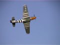 Parkzone Mustang greatest hits