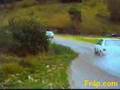 Rally