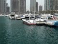 Scarab with twin 502 mercury start up and reving Scarab with twin 502 mercury start up and reving