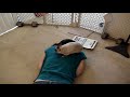 Cute Bunny Rabbit Behaviors