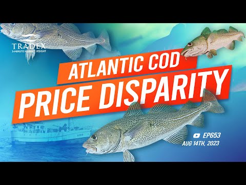 3MMI - Atlantic Cod Price Disparity: Why is EU Paying So Much More Than China?