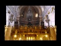 Caparezza -  Felici Ma Trimoni