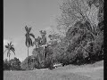 Mountainboard 2ºVideo Progressions Mountainboard 2ºVideo Progressions
