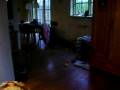 videos de hond in de hondenzweef