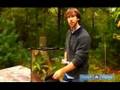 How to Build Terrariums & Vivariums: Creating Your Own Miniature Ecosystem : Terrarium Maintenance and Cleaning Tips