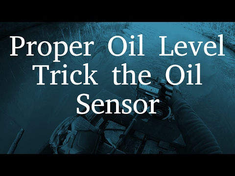 Proper oil level for longtail outboards Proper Oil Level on a Longtail