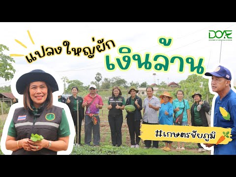 เกษตรก้าวหน้า แปลงใหญ่ผักเงินล้าน บ้านเพชร อ.ภูเขียว จ.ชัยภูมิ By เกษตรชัยภูมิ