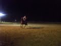 Brianna and Diva jumping 2!