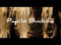Papilio Buddha  Official Trailer