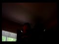 getsilly getsilly