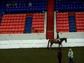 Hunter Under Saddle at KY state 4H