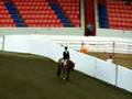Hunter Under Saddle at KY state 4H