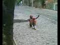 chango loco tenia que ser del ecch