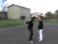toxiteck vs stylin