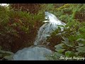 Waterfall by Wendy & Lisa