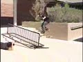 ryan sheckler.flv