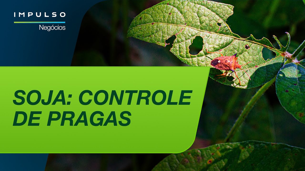 Soja: como controlar as principais pragas | Impulso Negócios EP. 178
